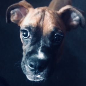 Meet your Posher, Ashly